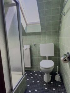 Gemeinschaftsbad für das Economy-Einzelzimmer in der Aal-Kate Wuppertal mit Dusche, WC, Dachfenster und grünen Fliesen.